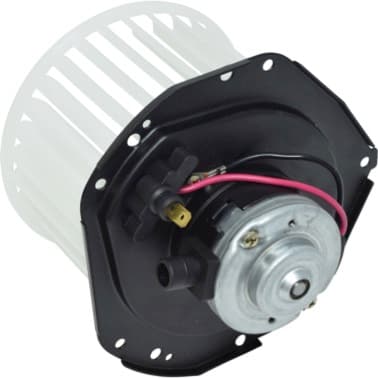 BW5987