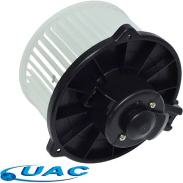 BW00169C