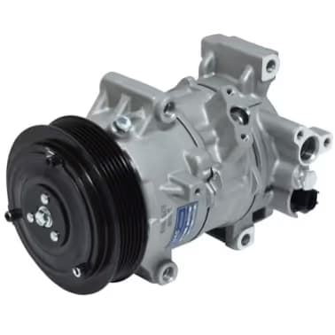 CP29198