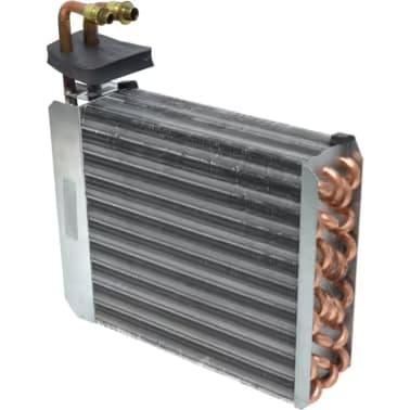 EV50019