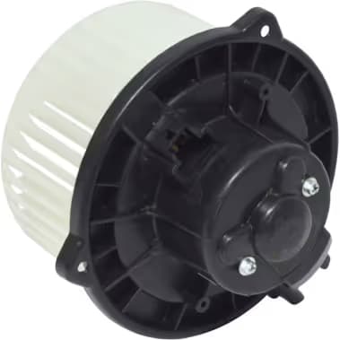 BW5025