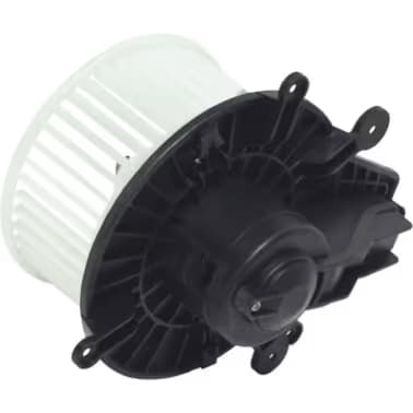 BW5931