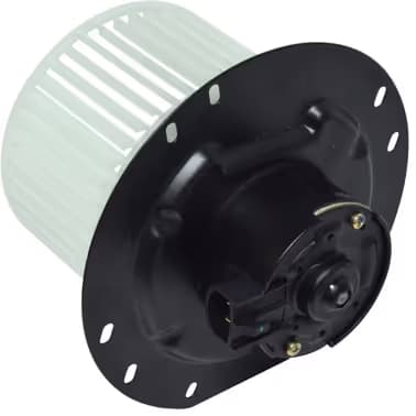 BW6194