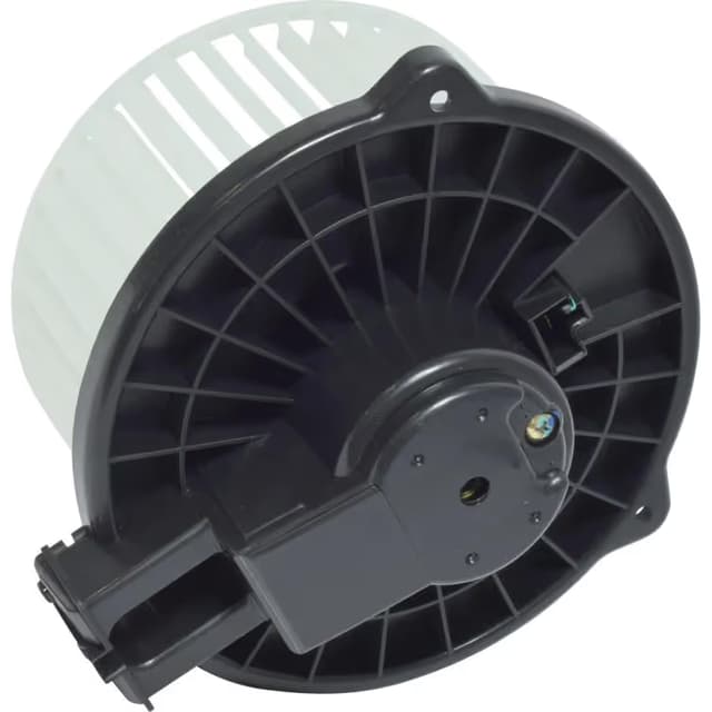 BW10065C