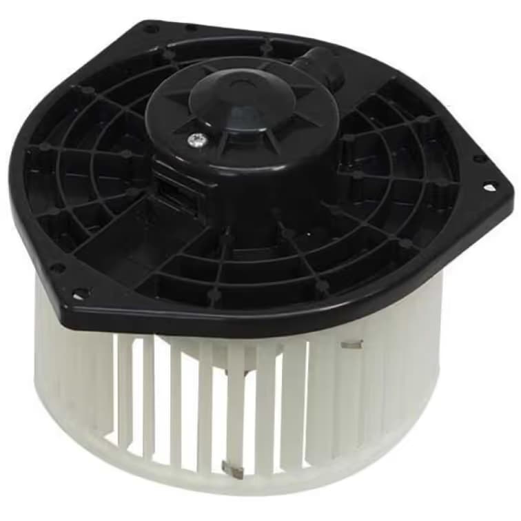 BW5038S