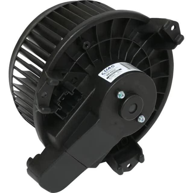 BW5061