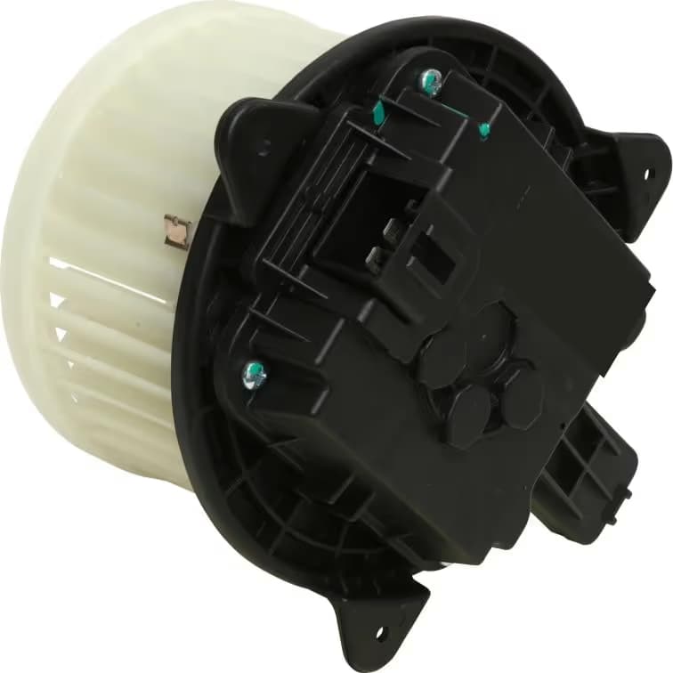 BW5079M