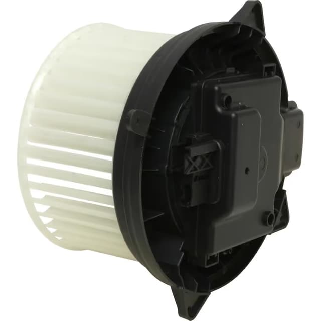 BW5081M