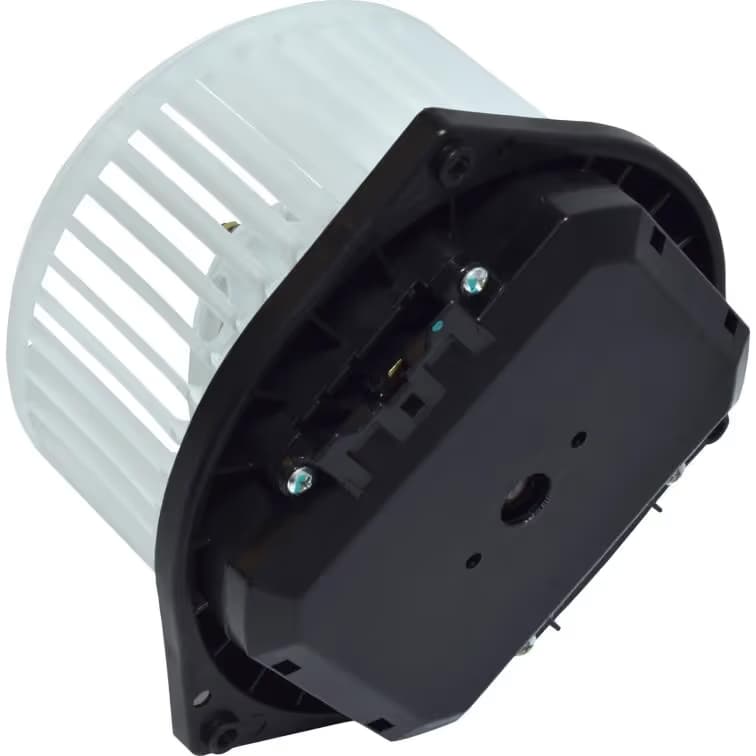 BW5318S