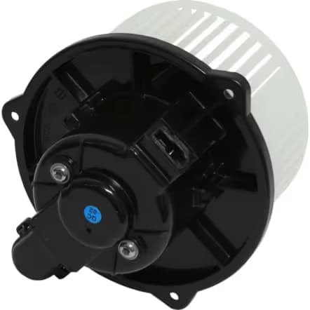 BW5388