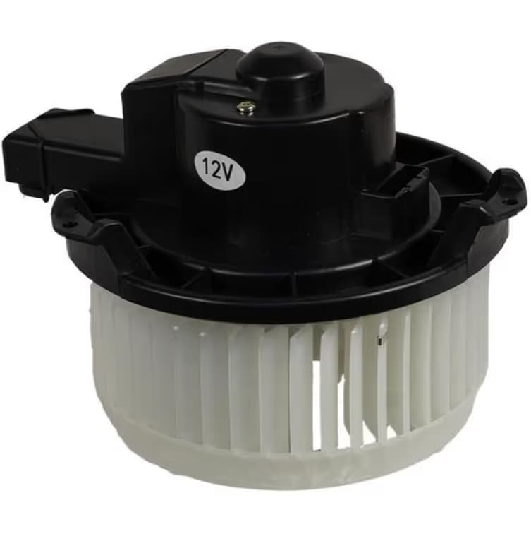 BW5578S