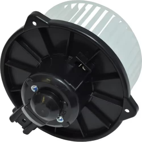 BW5639S