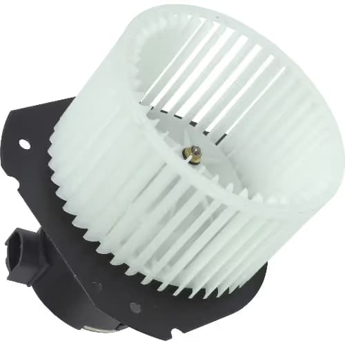 BW00020C