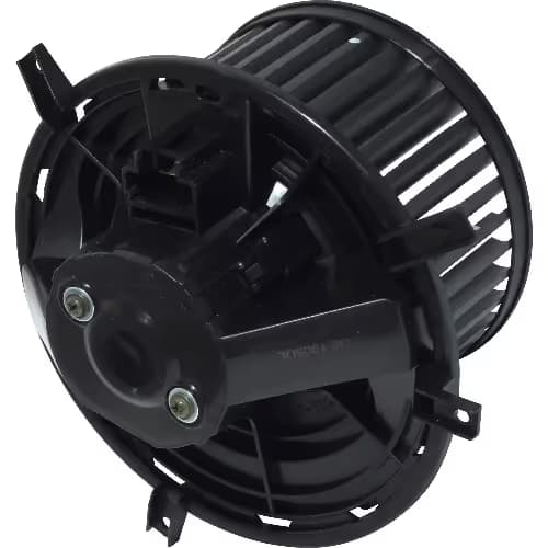 BW10007C