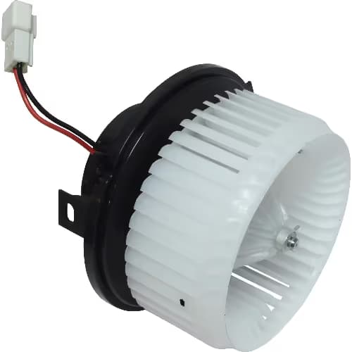 BW10010C