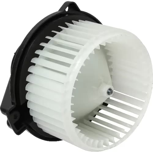 BW10171C