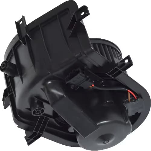 BW6006