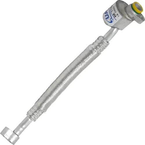 MG113581