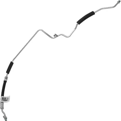 MG113702
