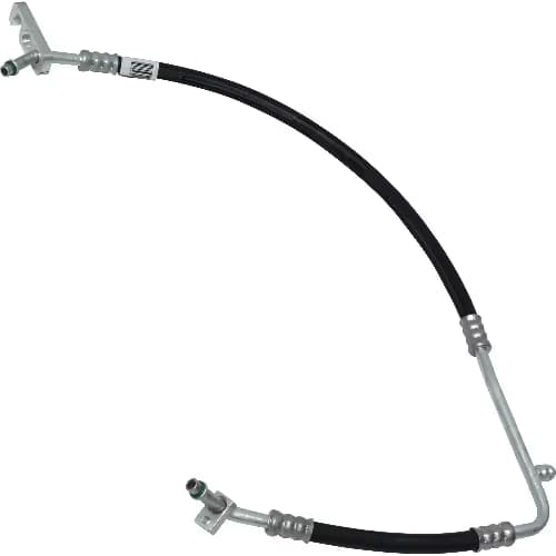 MG113775