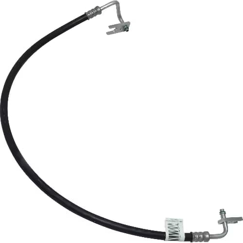 MG113776