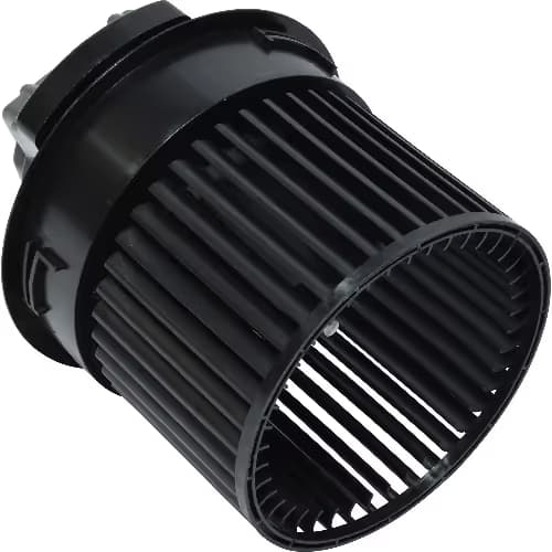 BW10030C